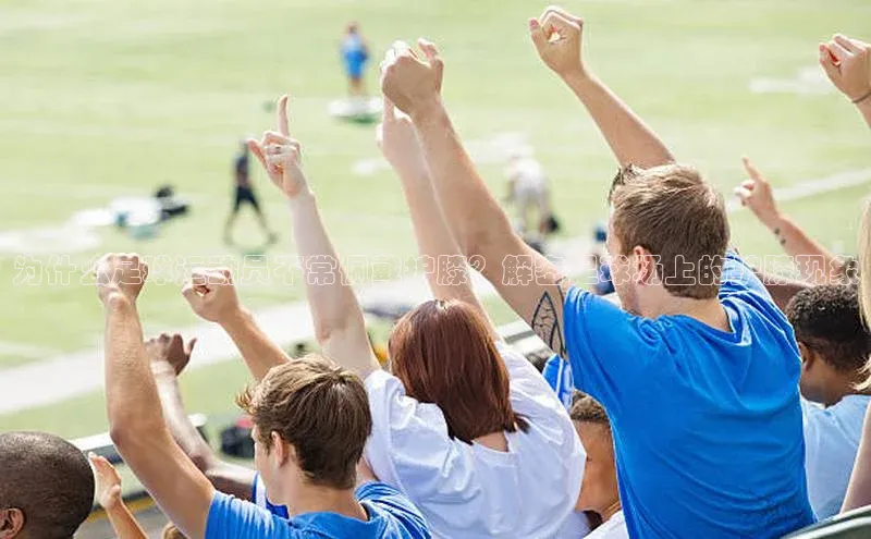 凯捷体育百家号